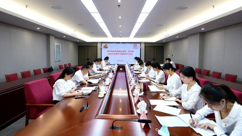 尊龙凯时集团党委书记、董事长任丁参加总部第一党支部党史学习教育专题组织生活会